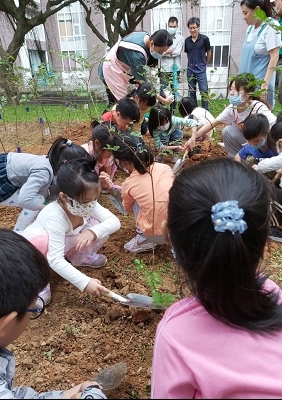 長庚科大幼兒園小朋友一起來體驗植樹活動的樂趣