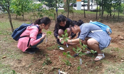 學生一起為校園綠美化盡心力