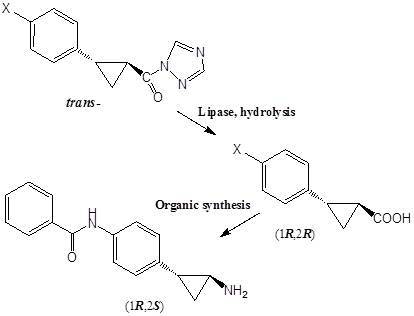 以trans-2-(2-halogen)phenylcyclopropyl 1,2,4-triazolide為基質，使用脂肪分解酶水解動力分割獲得(1R,2R)-2-(2-halogen)phenylcyclopropyl acid，然後再利用有機合成法將鹵素與酸基分別轉換為苯甲醯胺基與胺基得到目標產物(1R,2S)-2-(p-benzamide)-phenylcyclopropyl amine