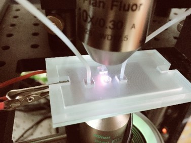 Actual image of optoelectronic microfluidic chip